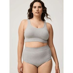 NWT Torrid Seamless Ribbed High Rise Briefs